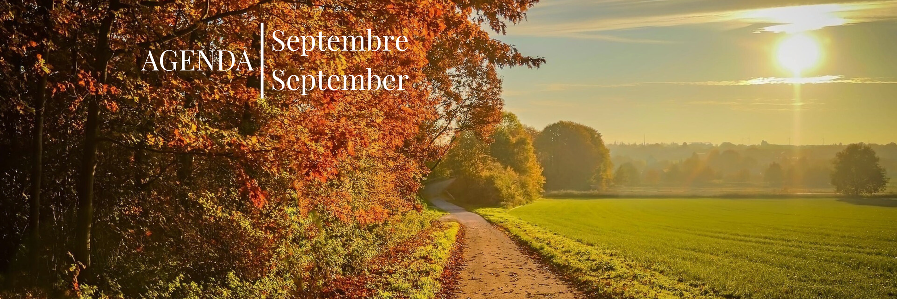 <h1>September alongside our artists</h1>